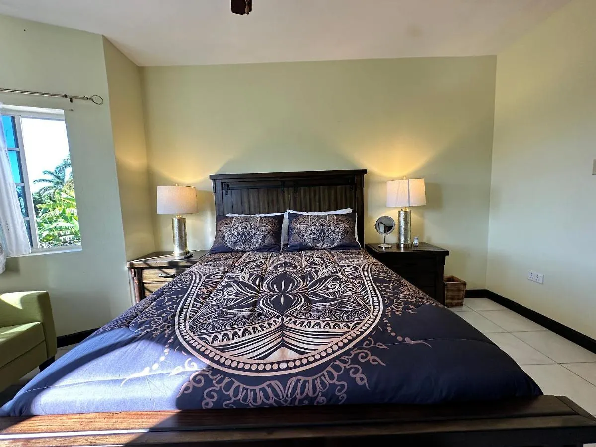 A Luxurious 4-Bedroom Private Villa With Games Room, Theatre & Modern Art Montego Bay