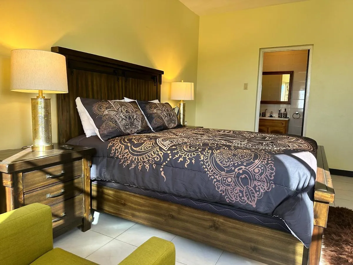 A Luxurious 4-Bedroom Private Villa With Games Room, Theatre & Modern Art Montego Bay
