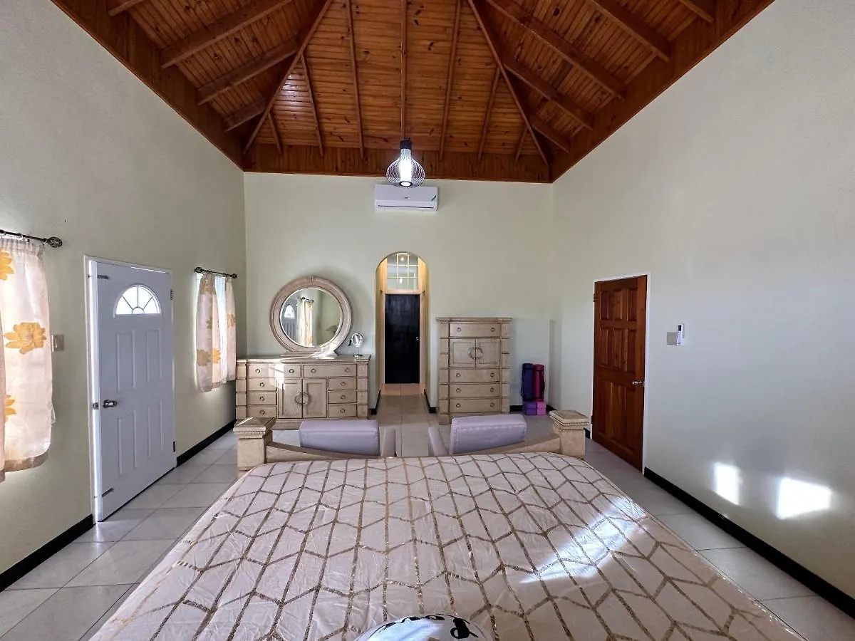 A Luxurious 4-Bedroom Private Villa With Games Room, Theatre & Modern Art Montego Bay