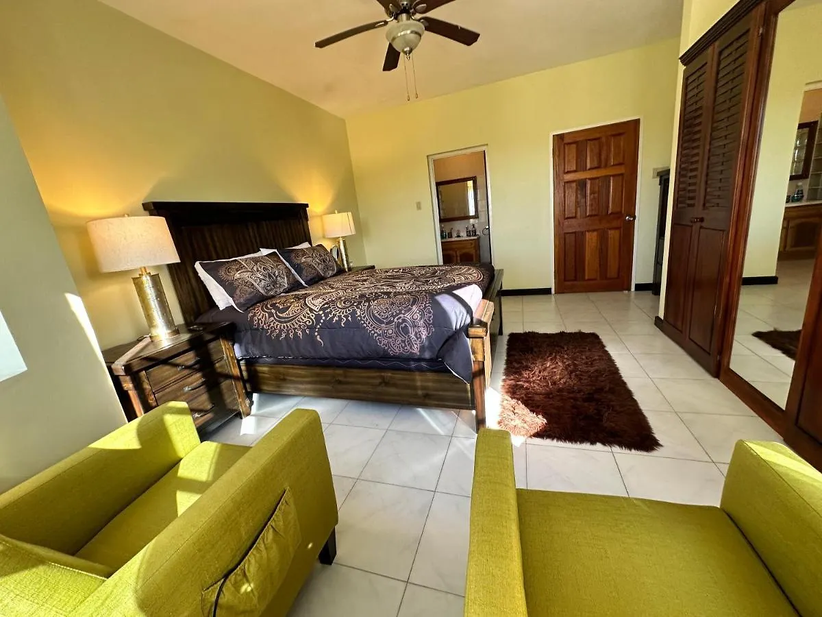 A Luxurious 4-Bedroom Private Villa With Games Room, Theatre & Modern Art Montego Bay Jamaica