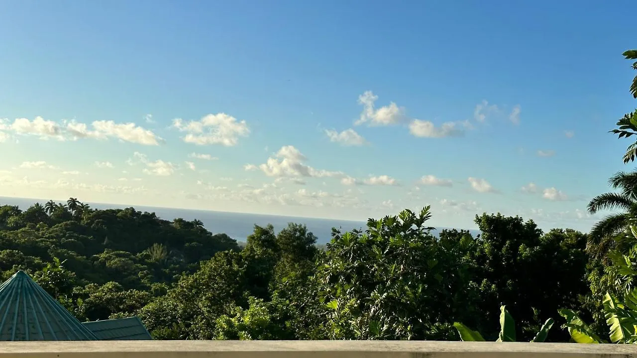 A Luxurious 4-Bedroom Private Villa With Games Room, Theatre & Modern Art Montego Bay