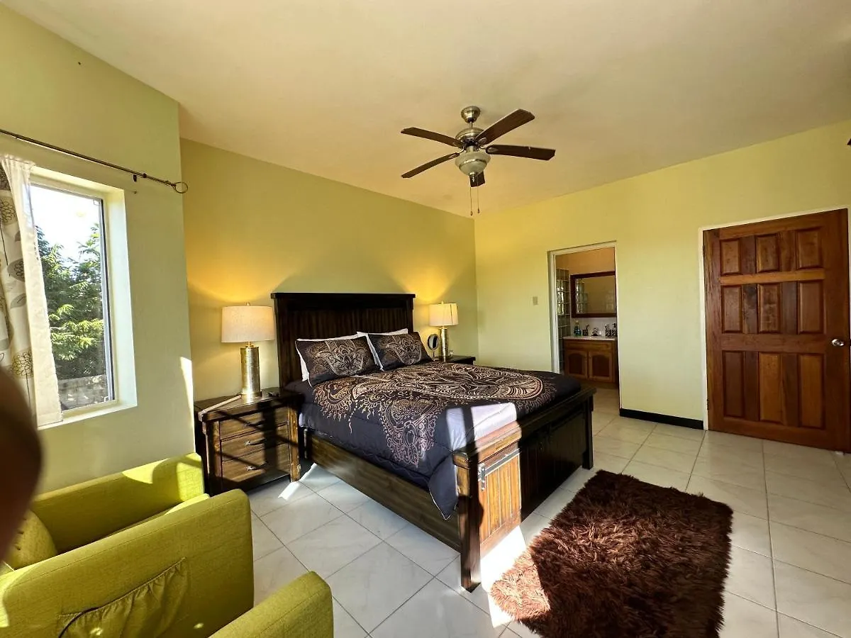 A Luxurious 4-Bedroom Private Villa With Games Room, Theatre & Modern Art Montego Bay
