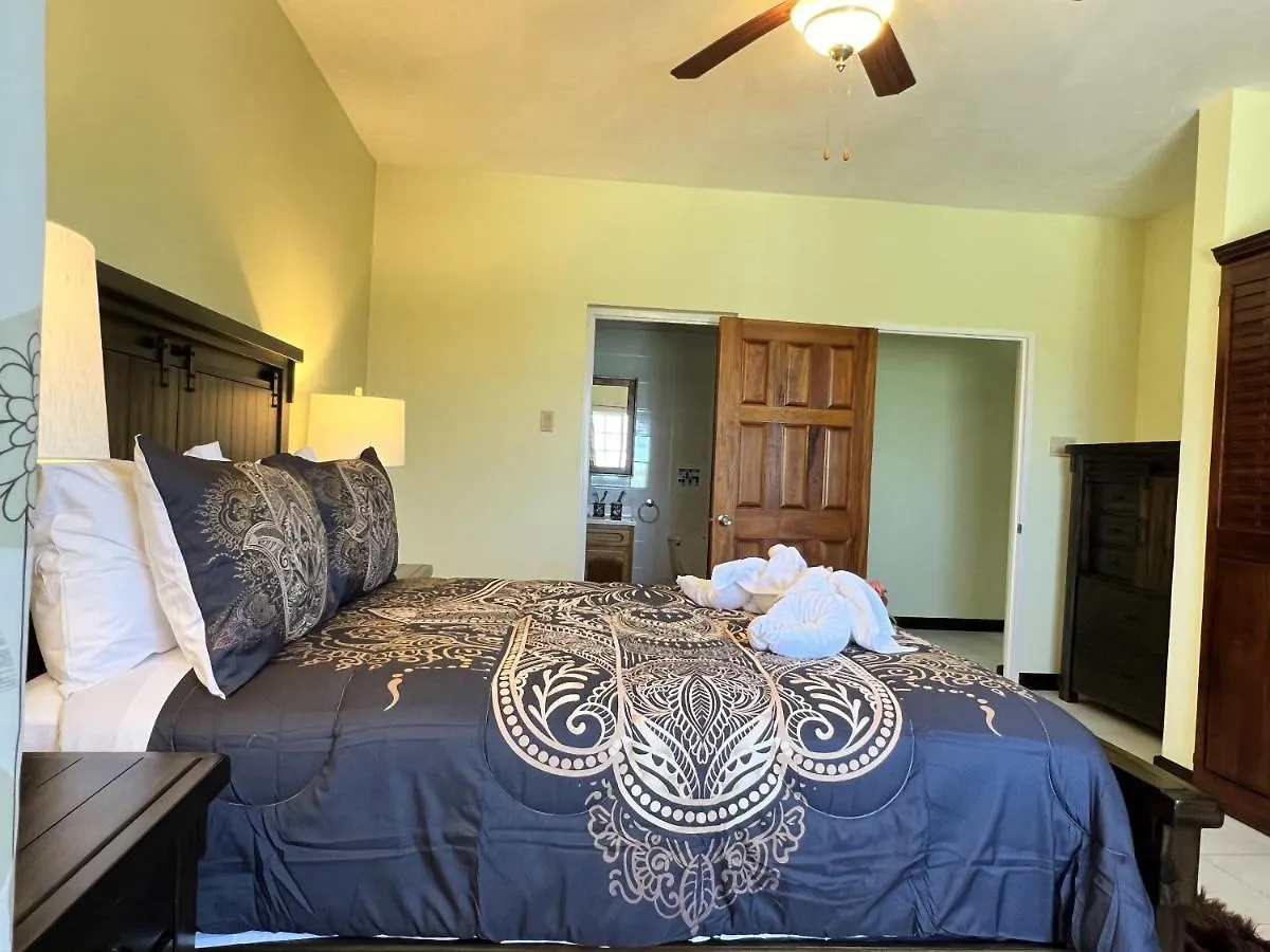 A Luxurious 4-Bedroom Private Villa With Games Room, Theatre & Modern Art Montego Bay