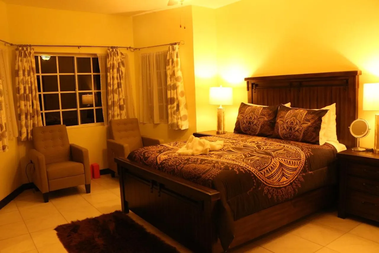 A Luxurious 4-Bedroom Private Villa With Games Room, Theatre & Modern Art Montego Bay