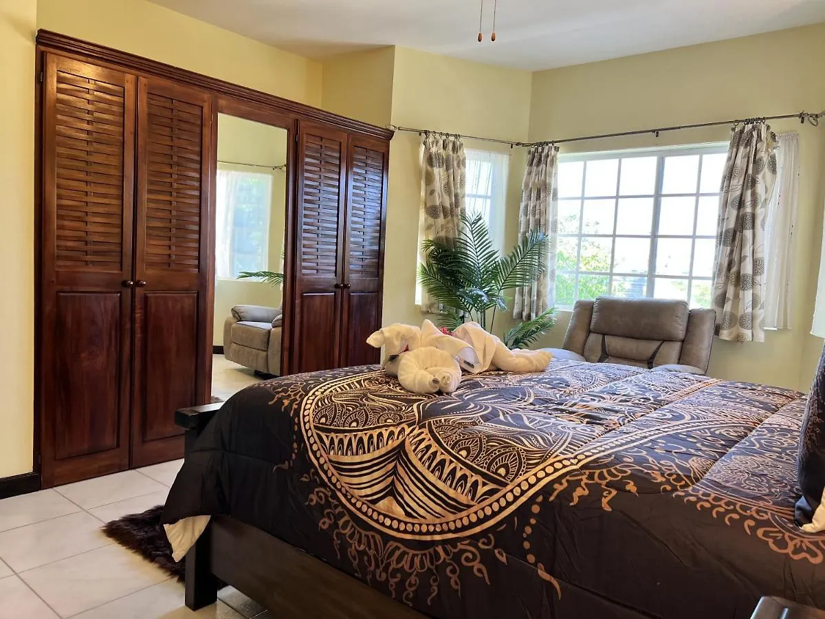 A Luxurious 4-Bedroom Private Villa With Games Room, Theatre & Modern Art Montego Bay