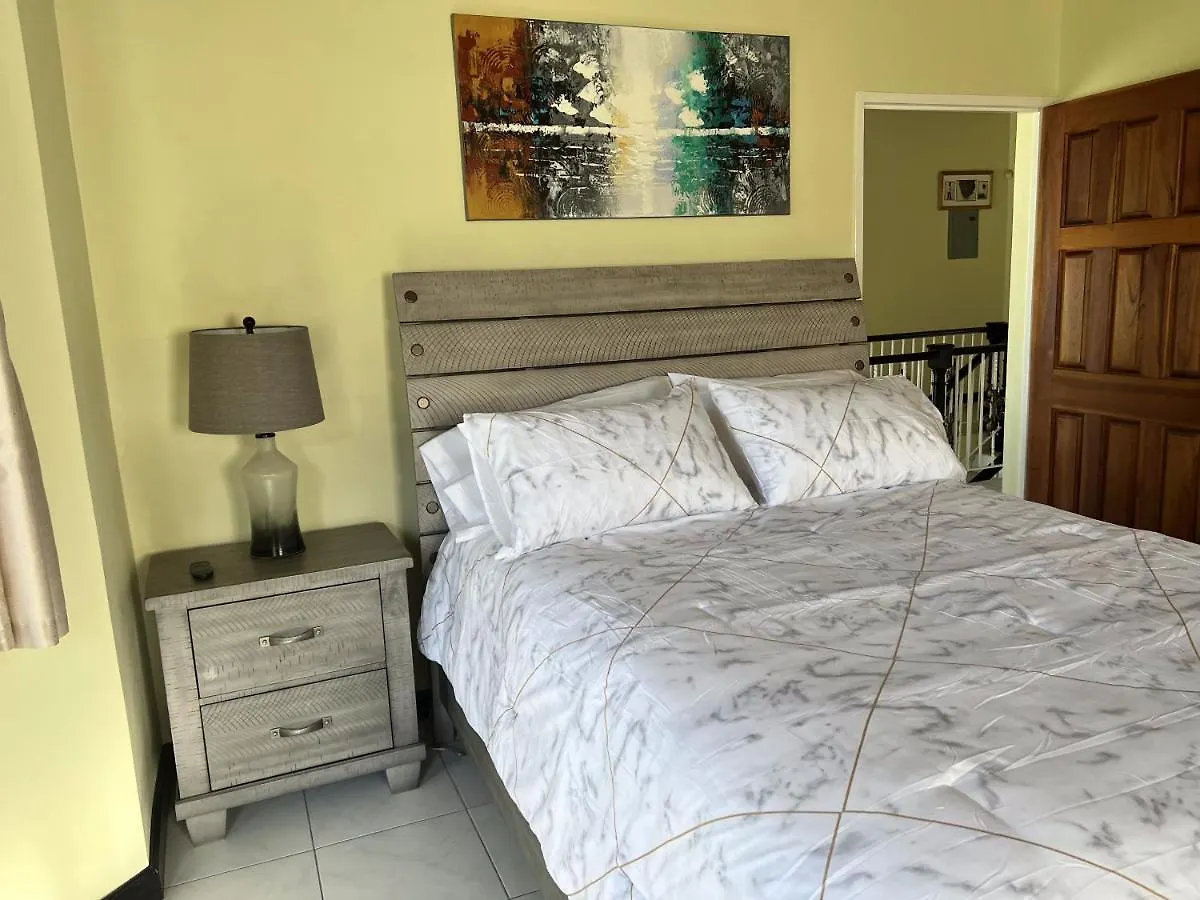 A Luxurious 4-Bedroom Private Villa With Games Room, Theatre & Modern Art Montego Bay