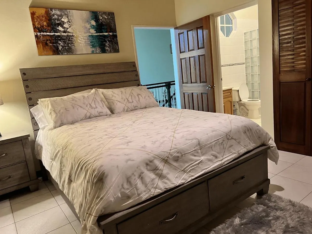 A Luxurious 4-Bedroom Private Villa With Games Room, Theatre & Modern Art Montego Bay