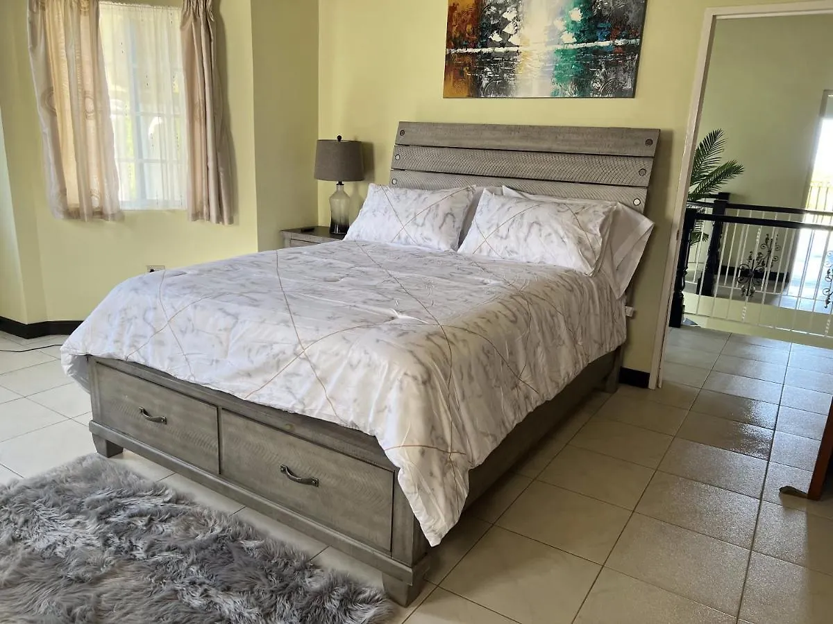 A Luxurious 4-Bedroom Private Villa With Games Room, Theatre & Modern Art Montego Bay